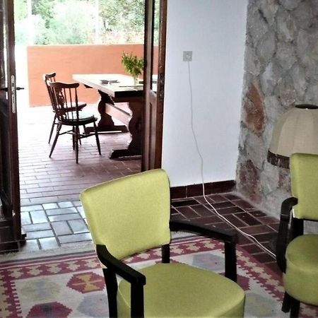 Apartment Maya Стари Град Экстерьер фото