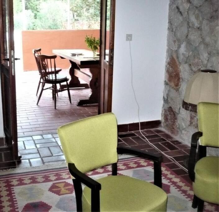 Apartment Maya Стари Град Экстерьер фото